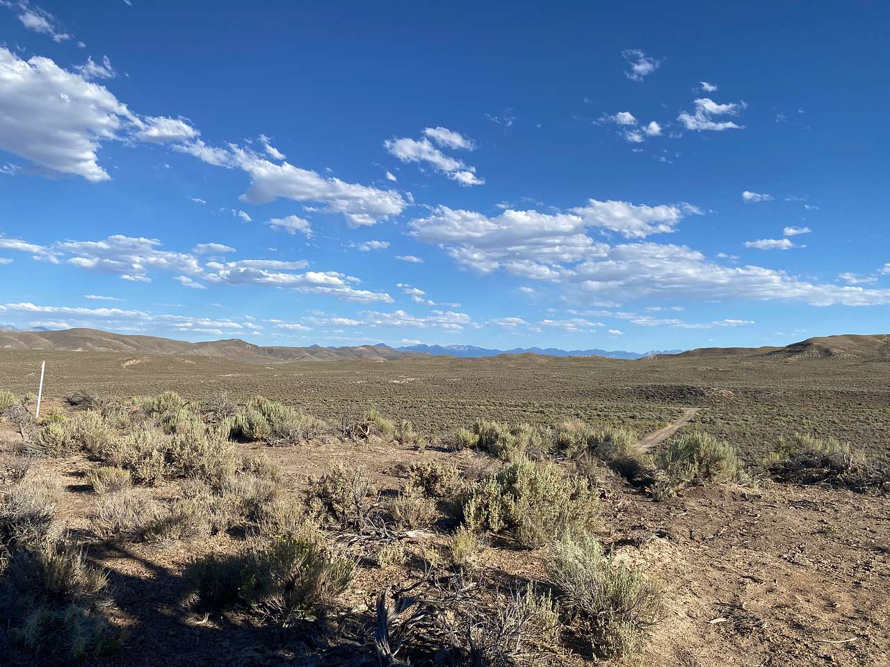 Ethereal Ranch