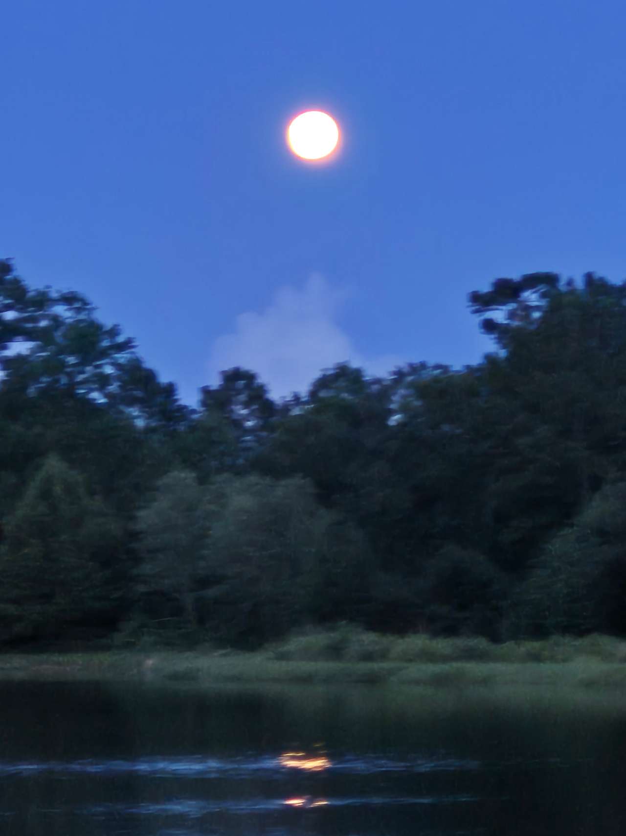 JCO Campground at Lee Baysden Pond