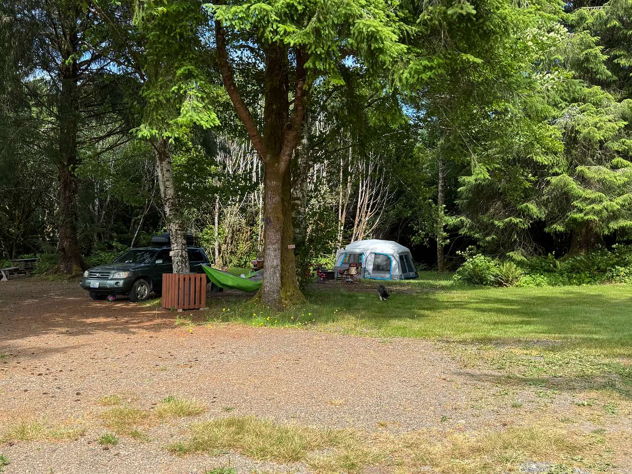 Camp site #1