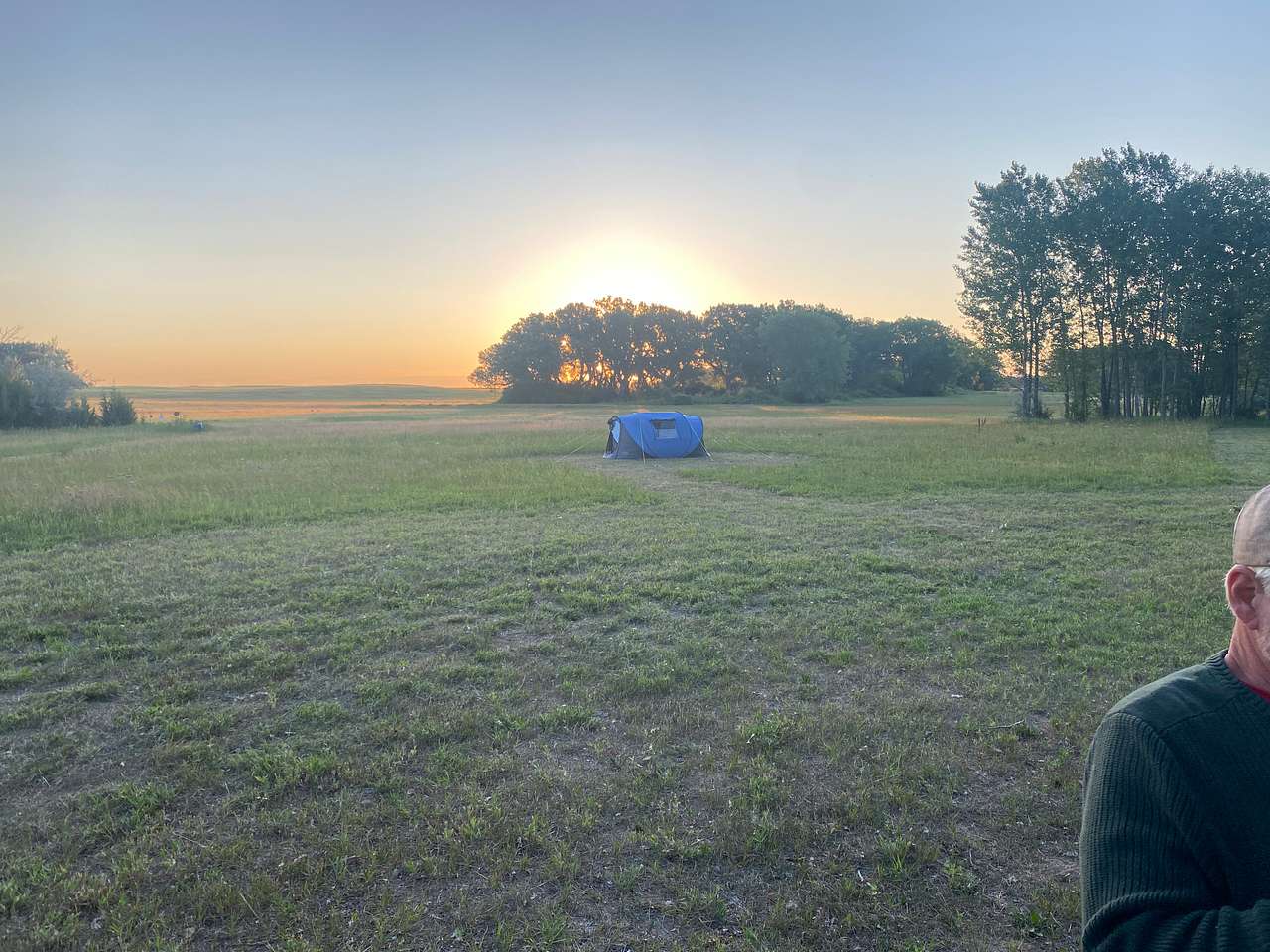 Steinke Ranch Buffalo