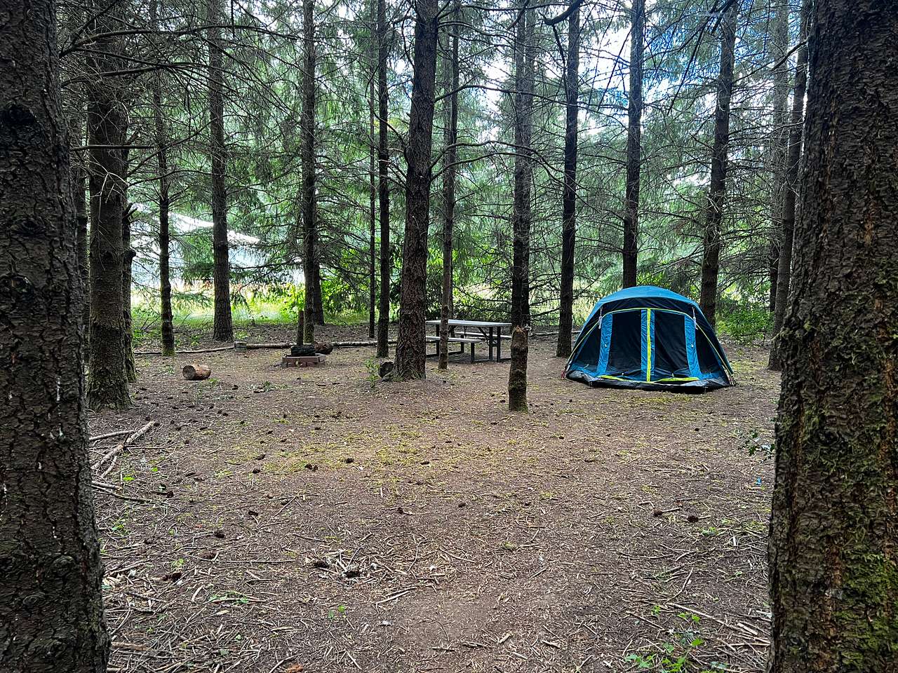 Picture of the site