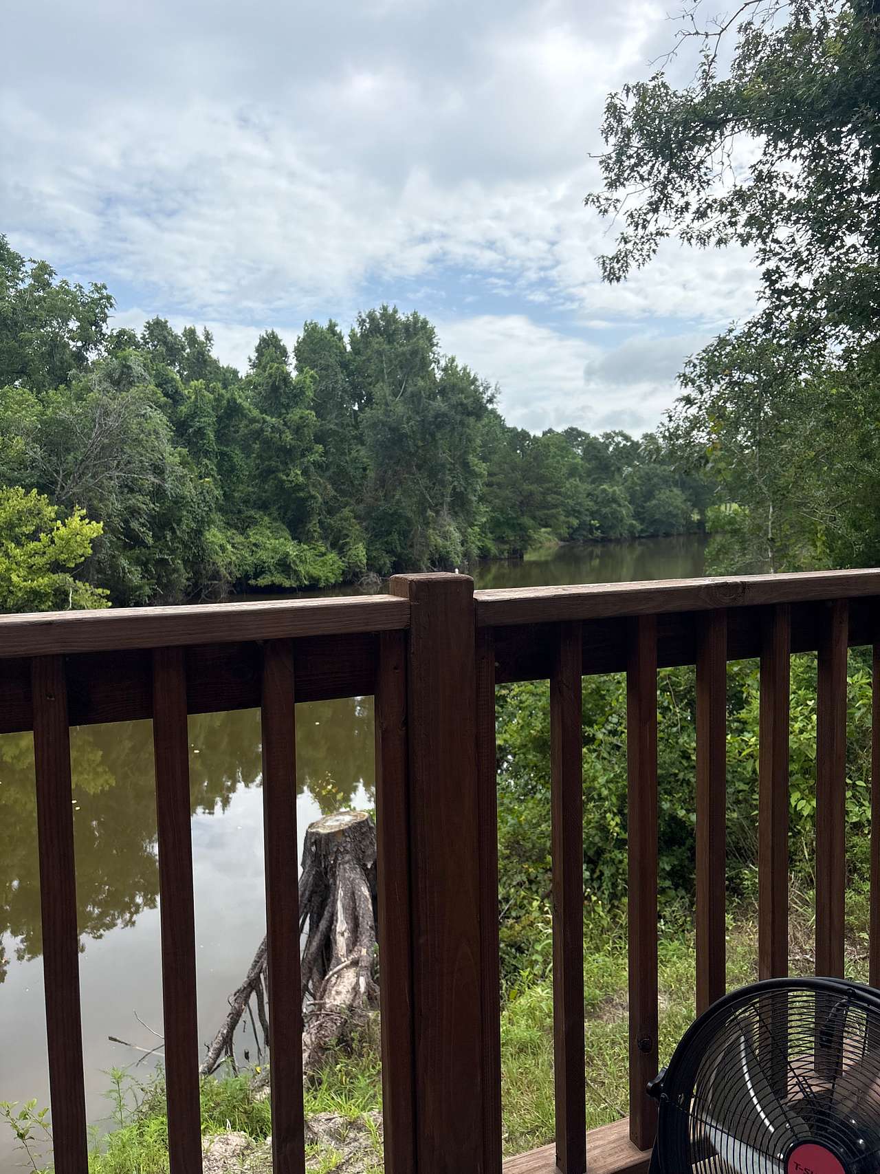 My view 
