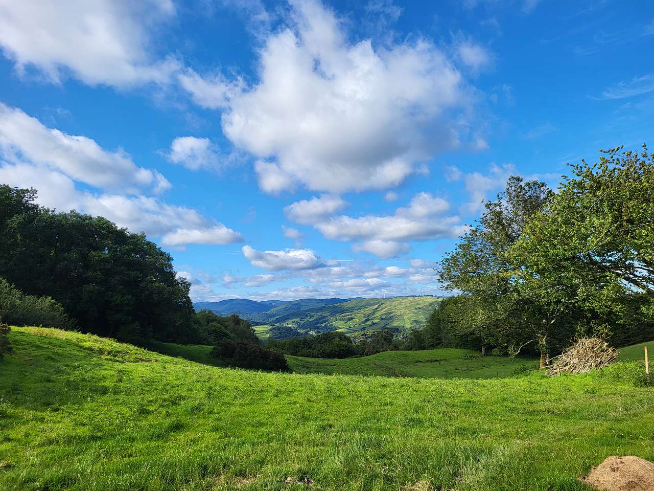 view from campervan field