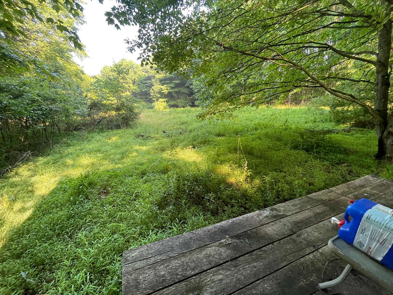 Neal Homestead Camp Sites