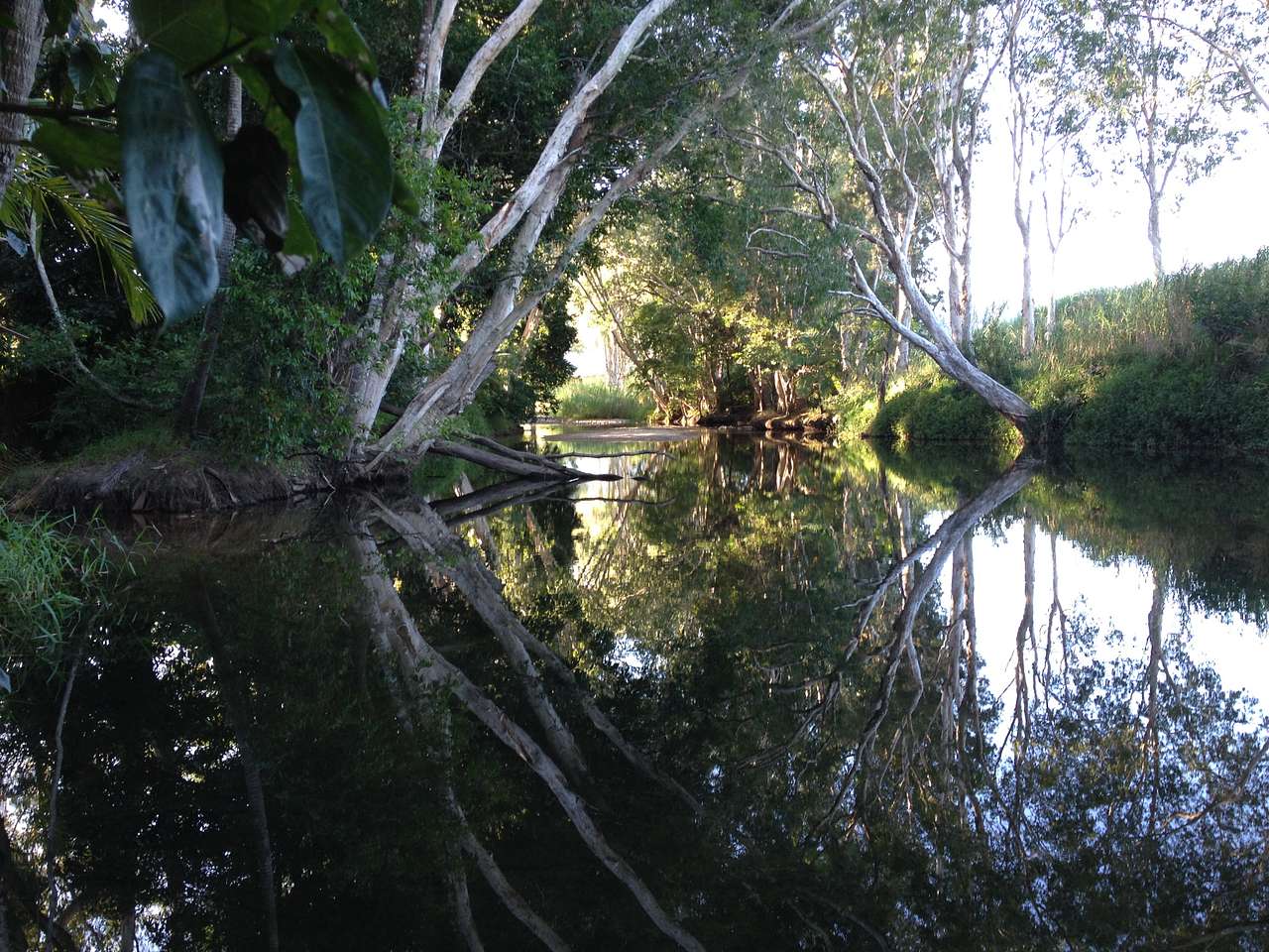 The Creek Retreat
