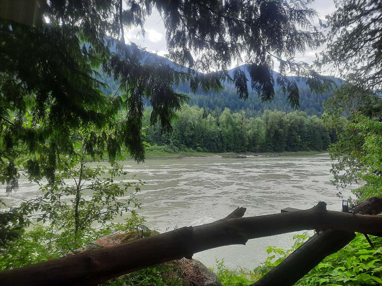 The View from the Porch