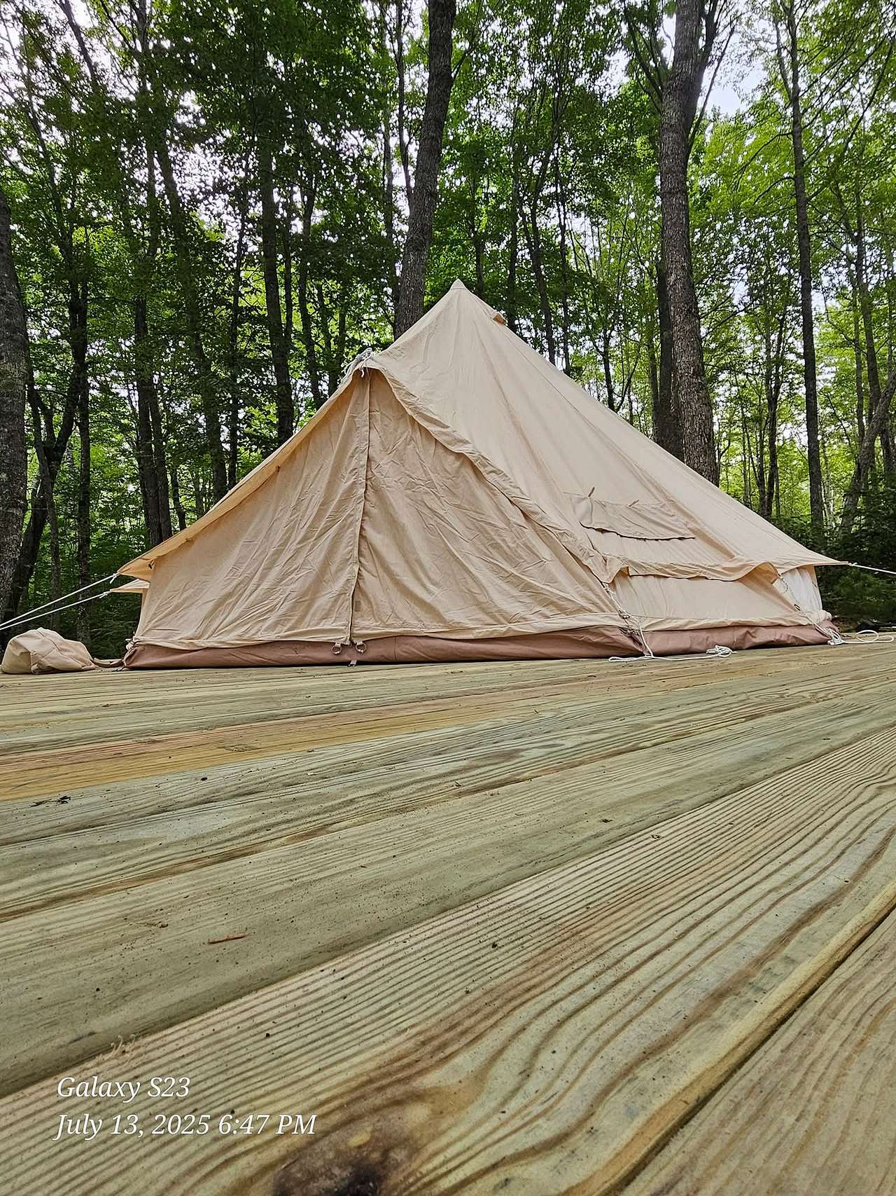 Picture of the site