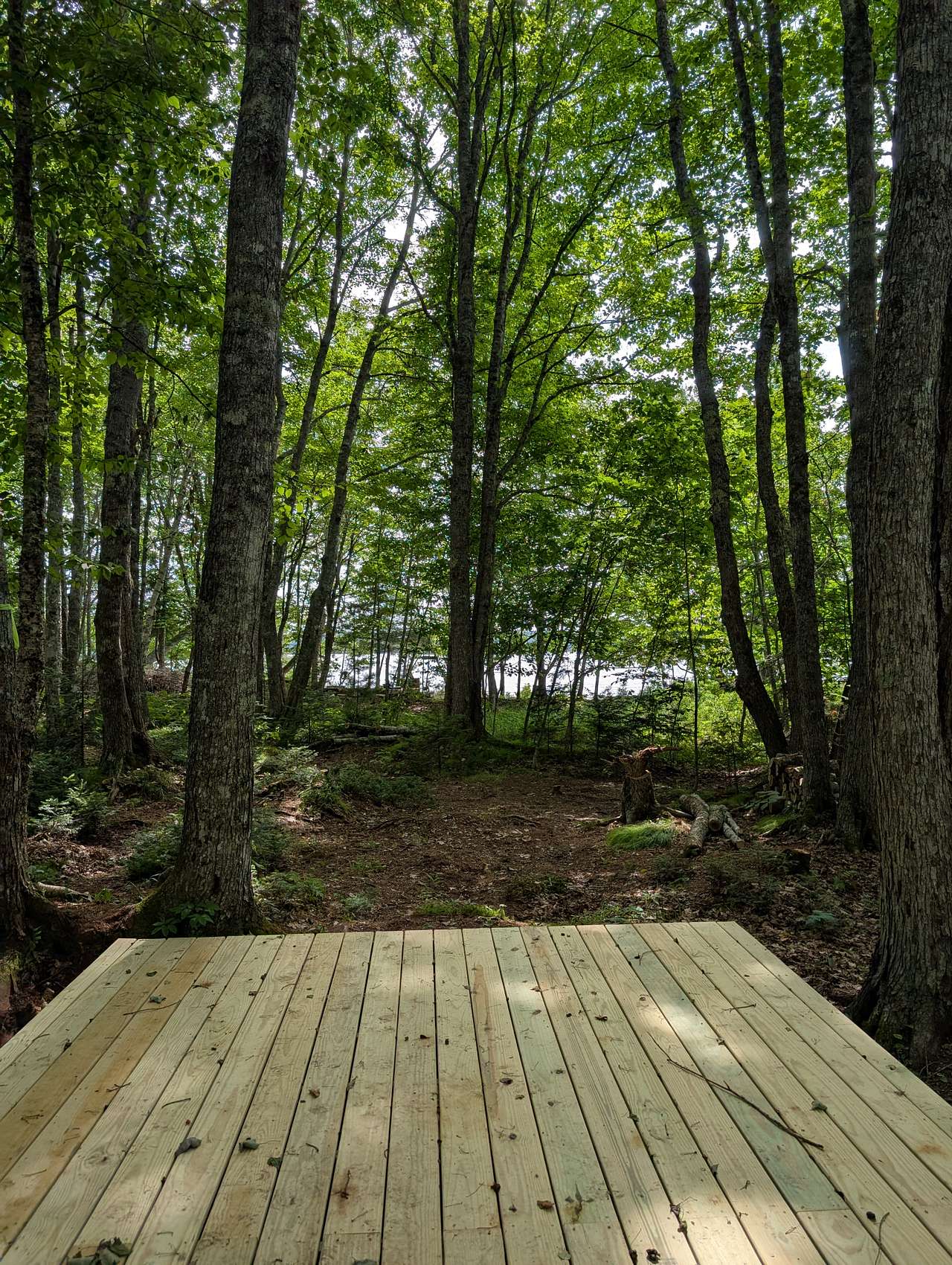 Picture of the site