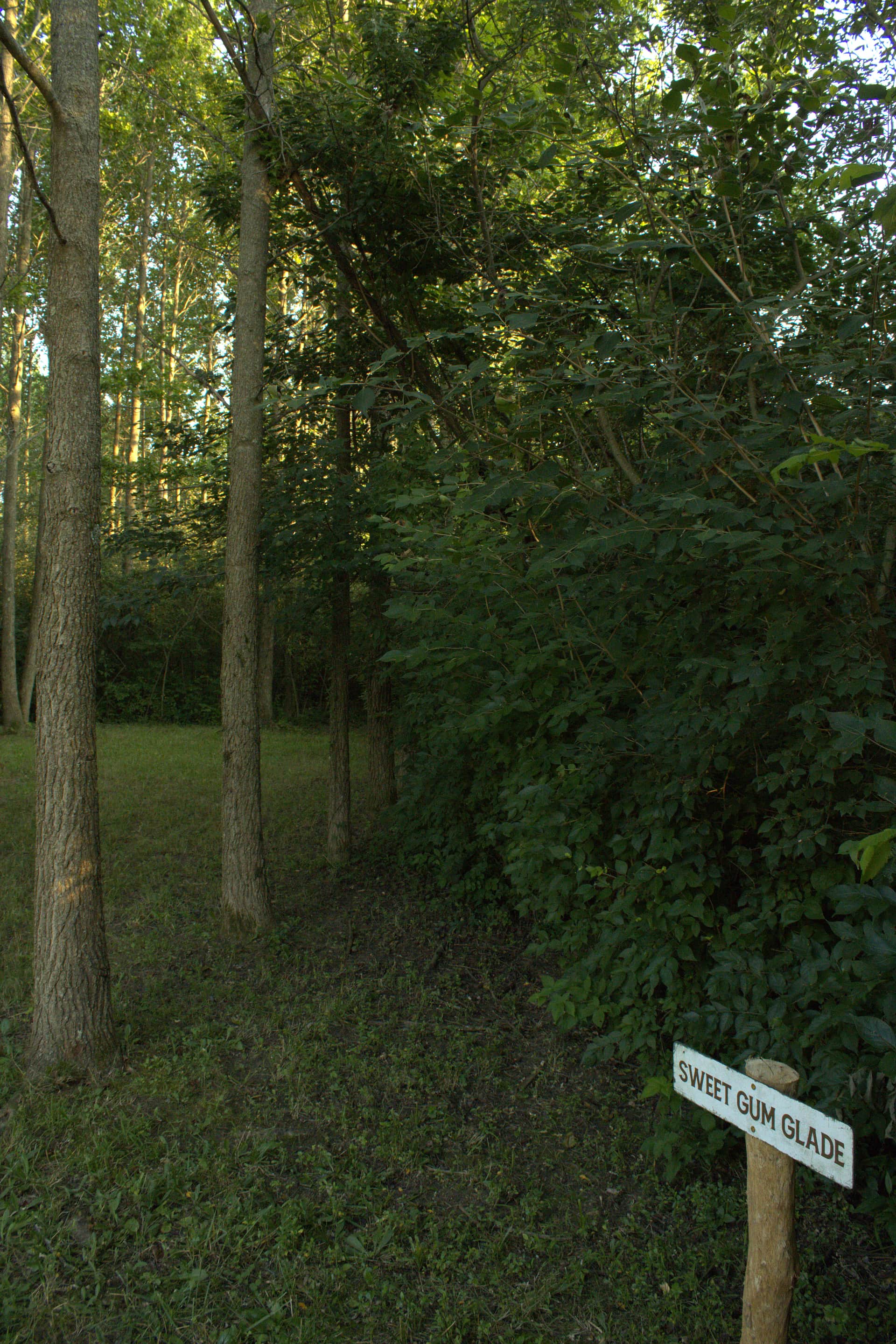 Madden Farm