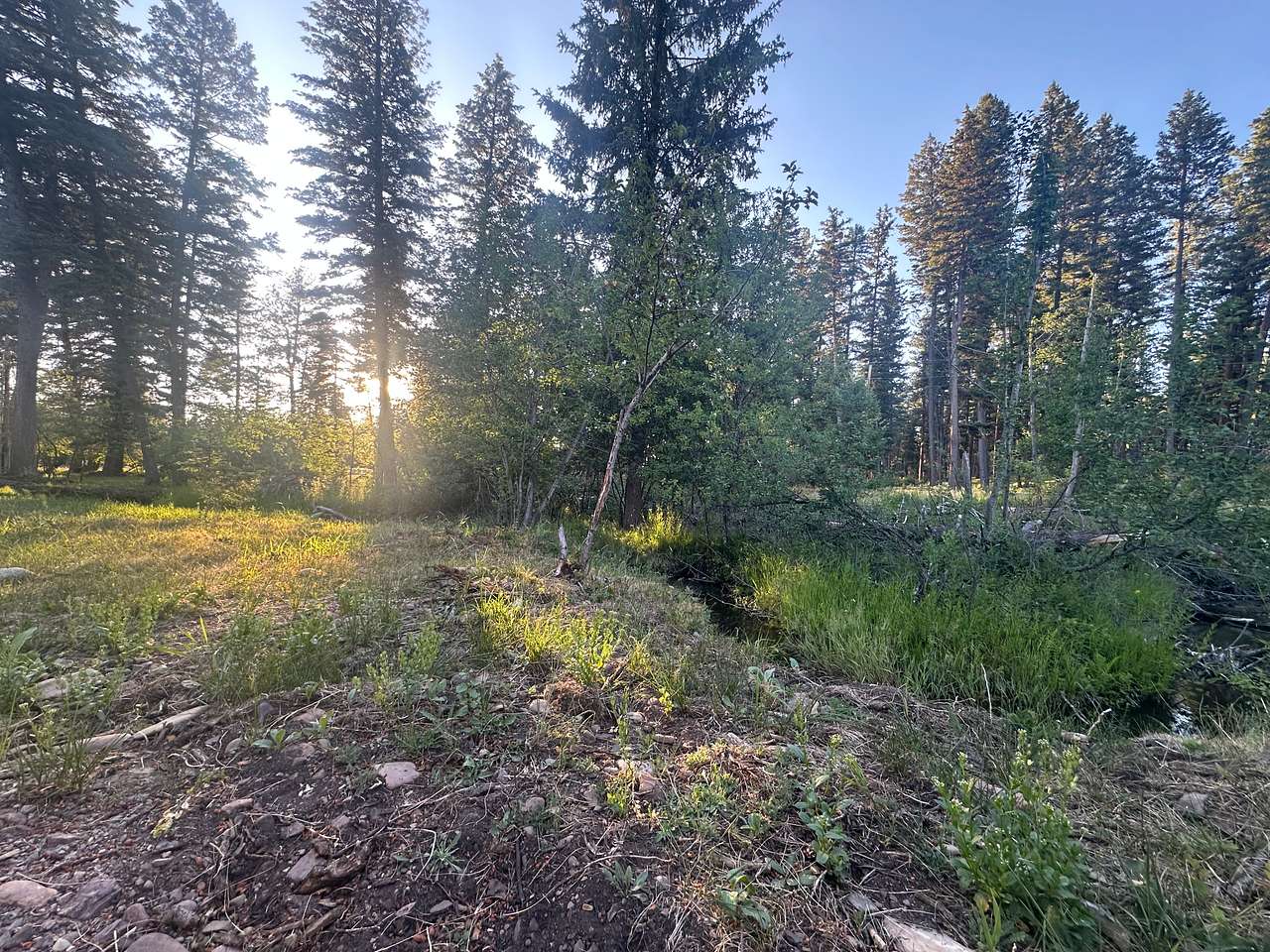 Seeley Creek Sites 1&2