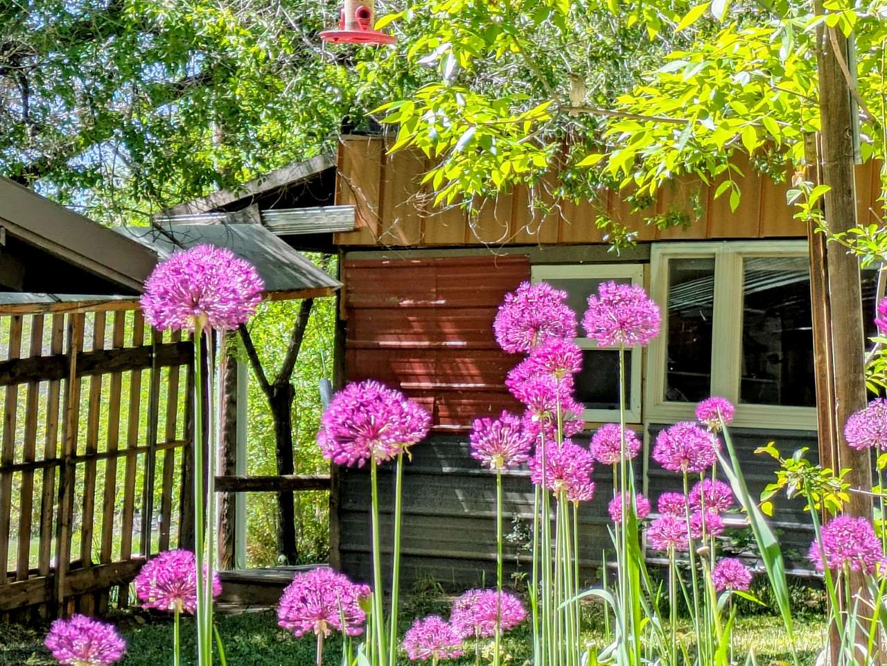 Secluded Property with All Hookups,