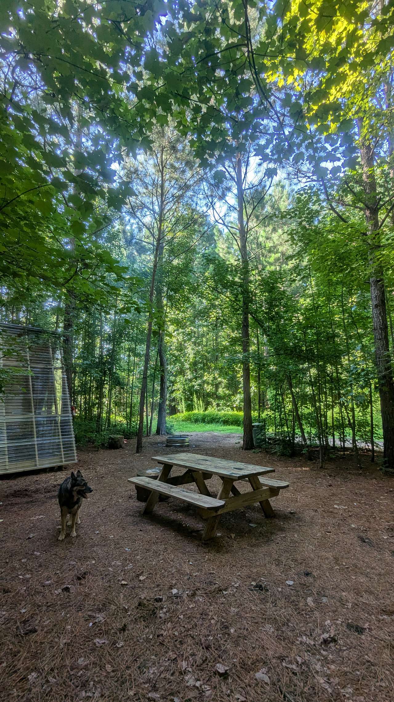 Picture of the site