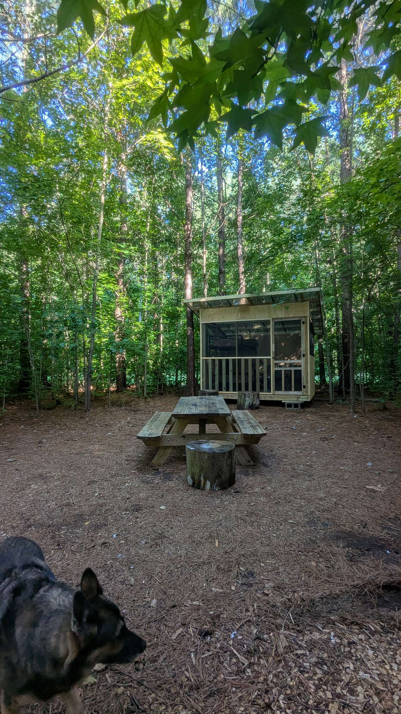 Picture of the site