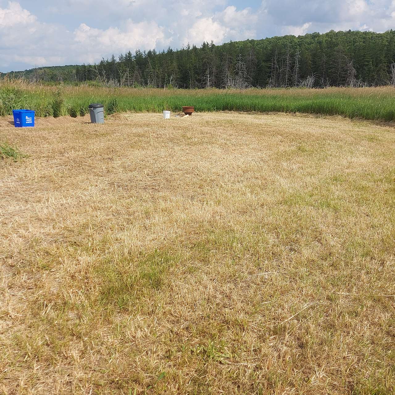 Farm With Everything. All Welcome.