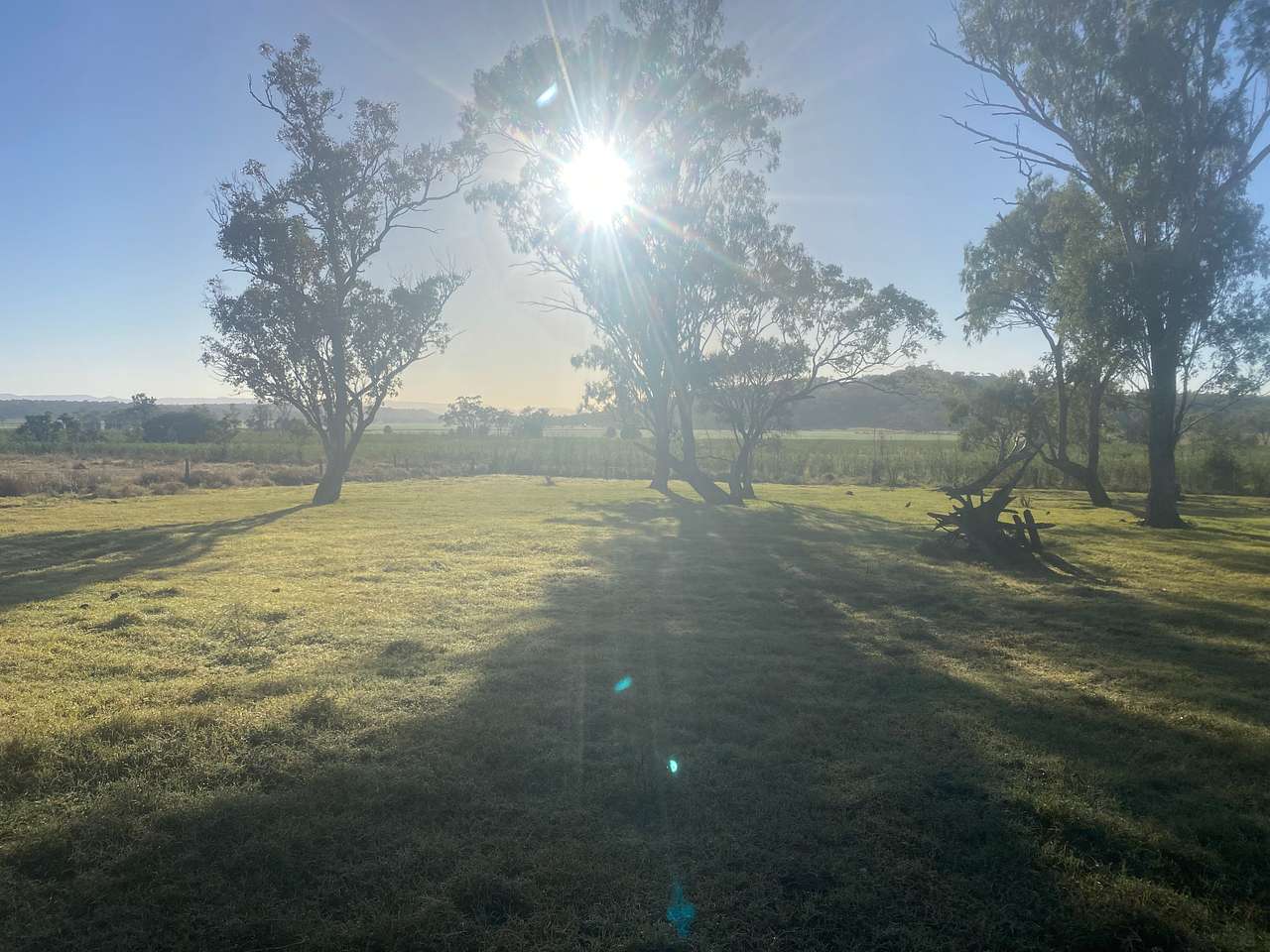 Bunya Mountains View