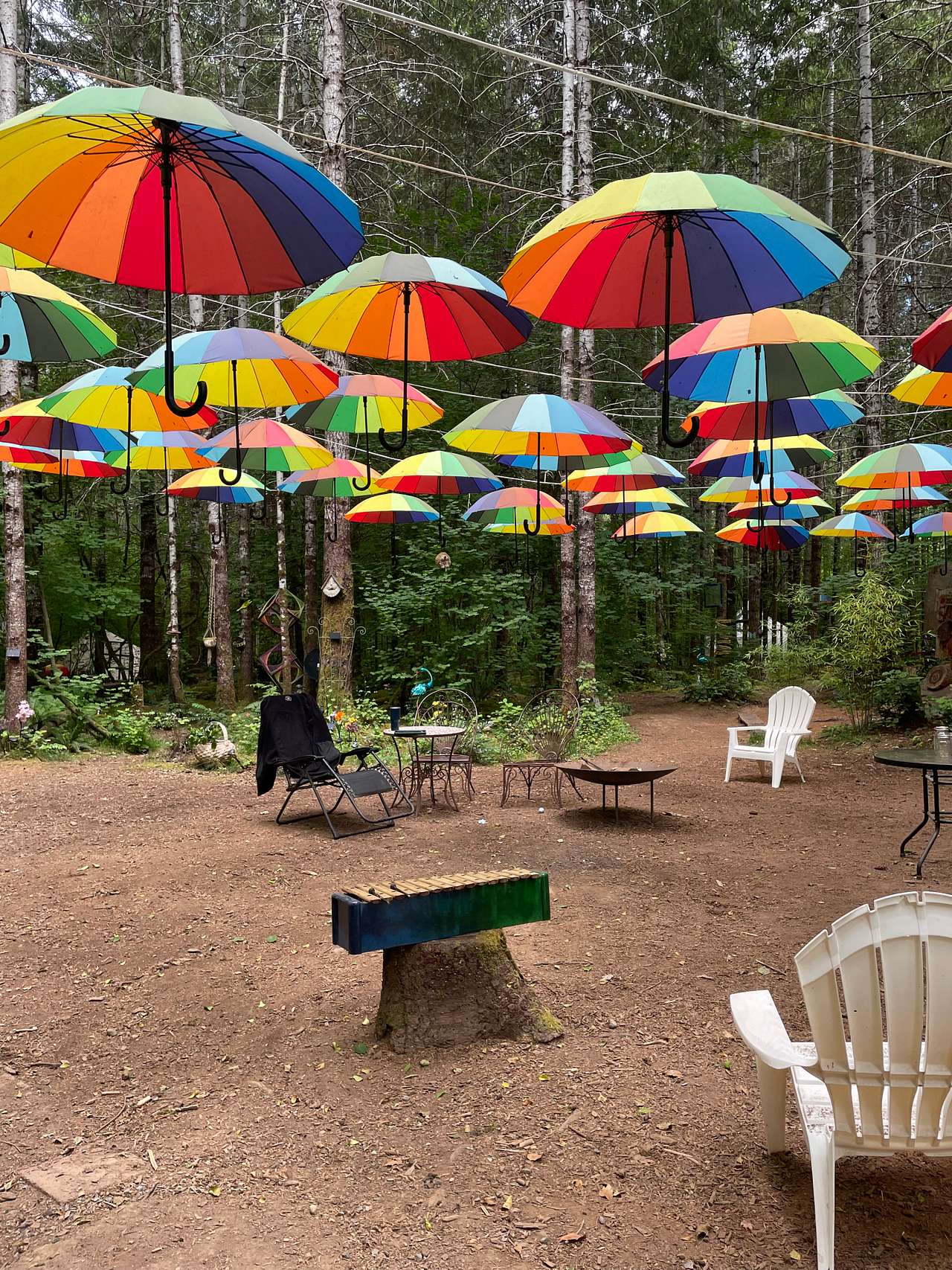 Elfendahl Forest