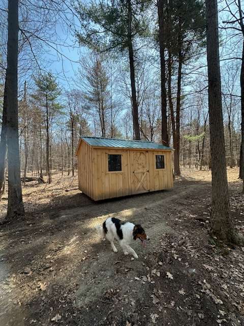 Dickensen Farm: Cabins & Camping