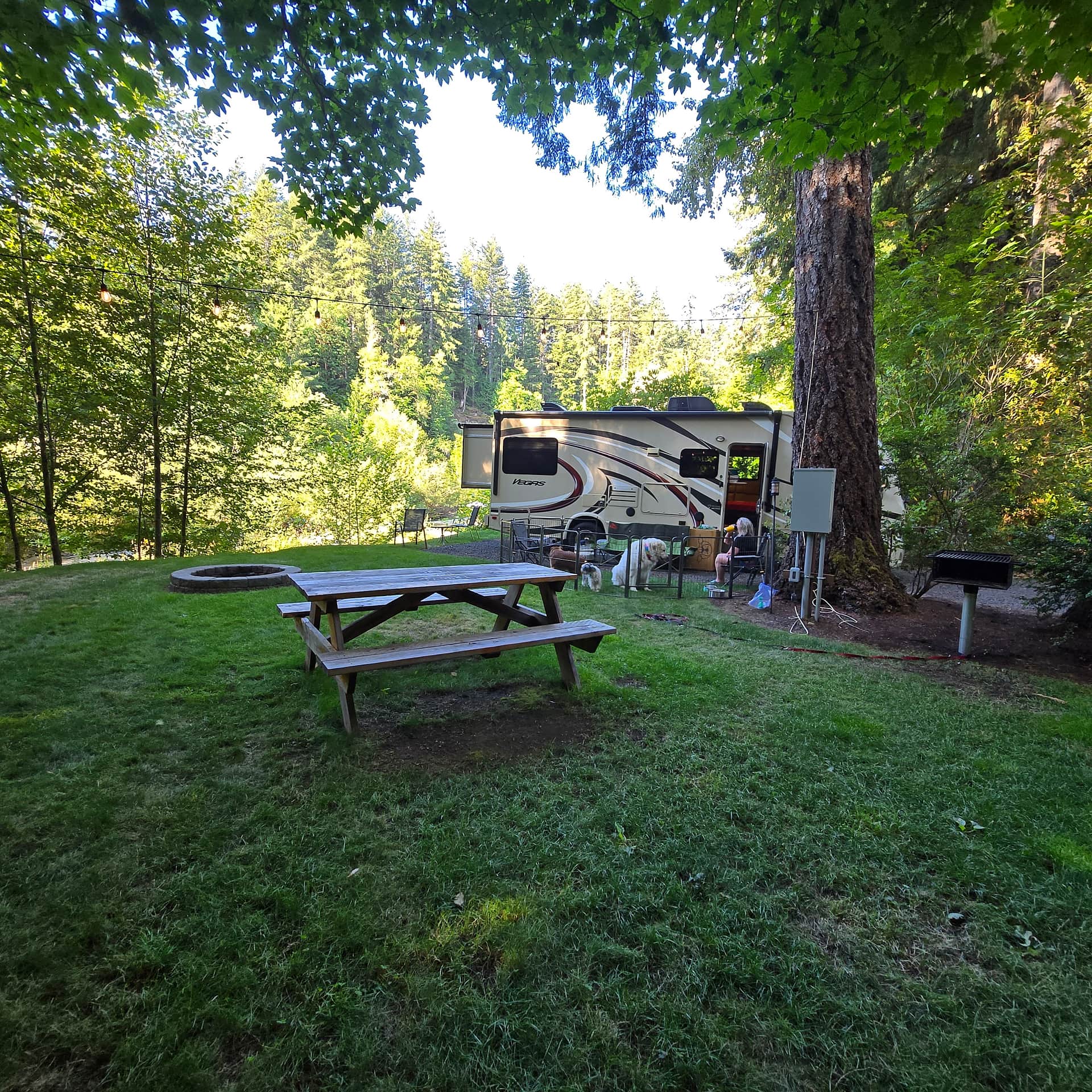 Picture of the site