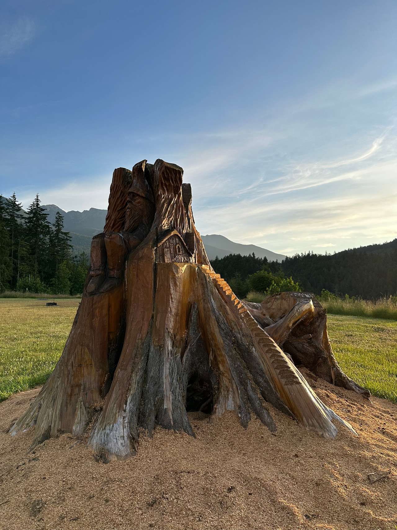 Picture of the site