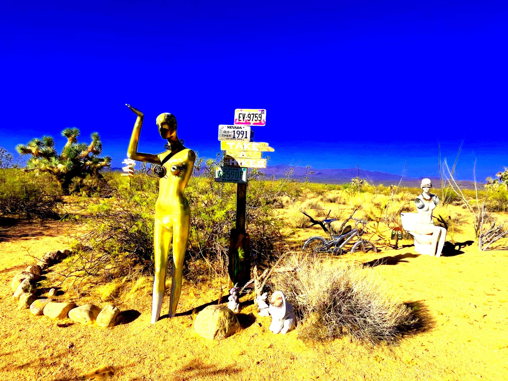 Magic in the Mojave
