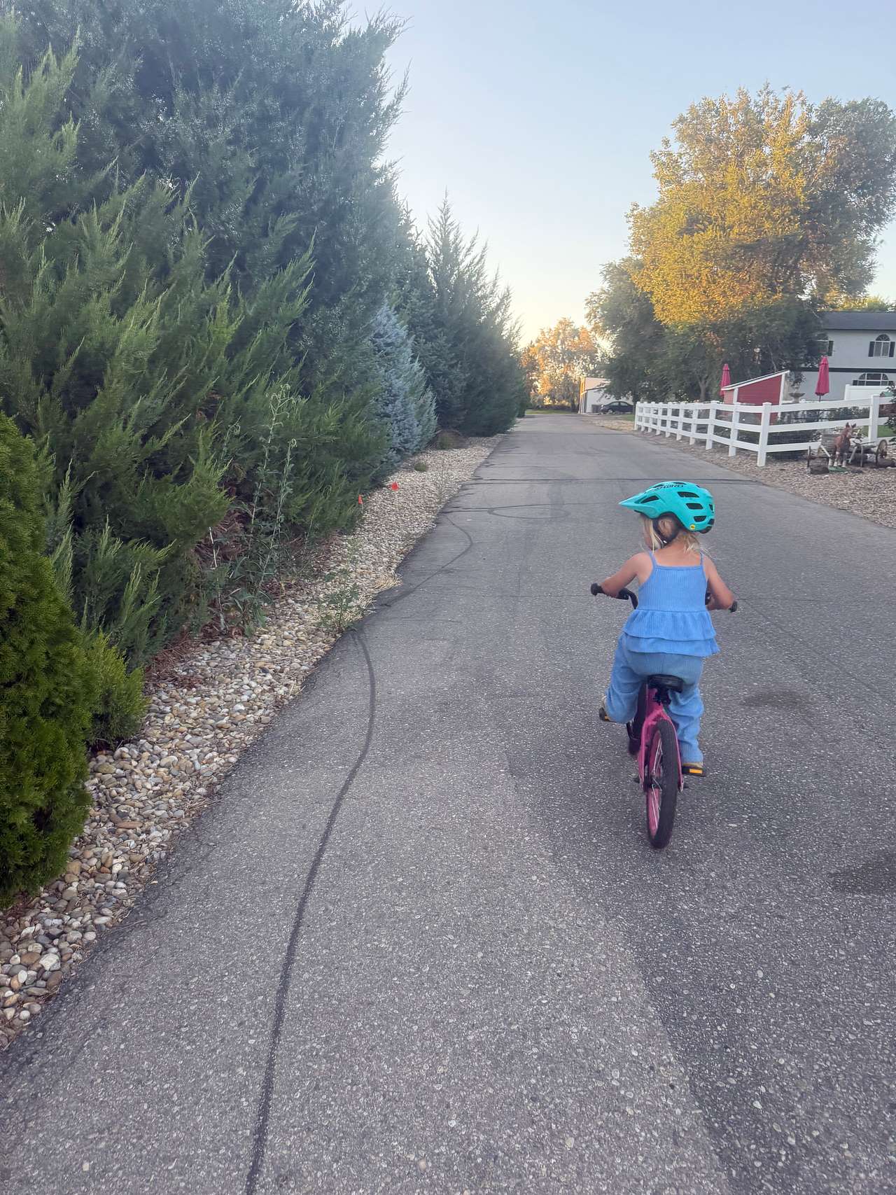 Their street is perfect for kids to ride bikes and play, dead end so very little traffic 