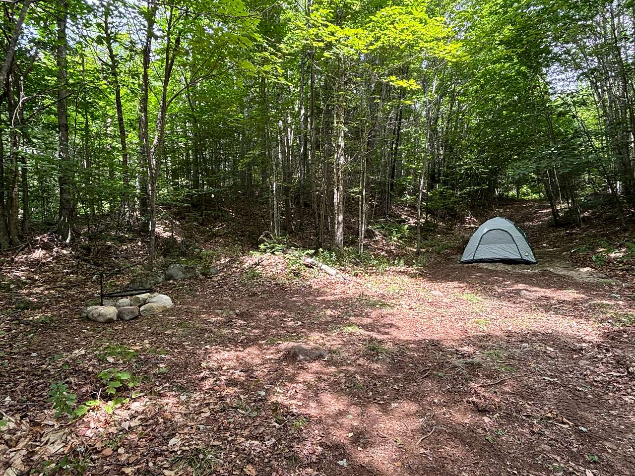 Picture of the site