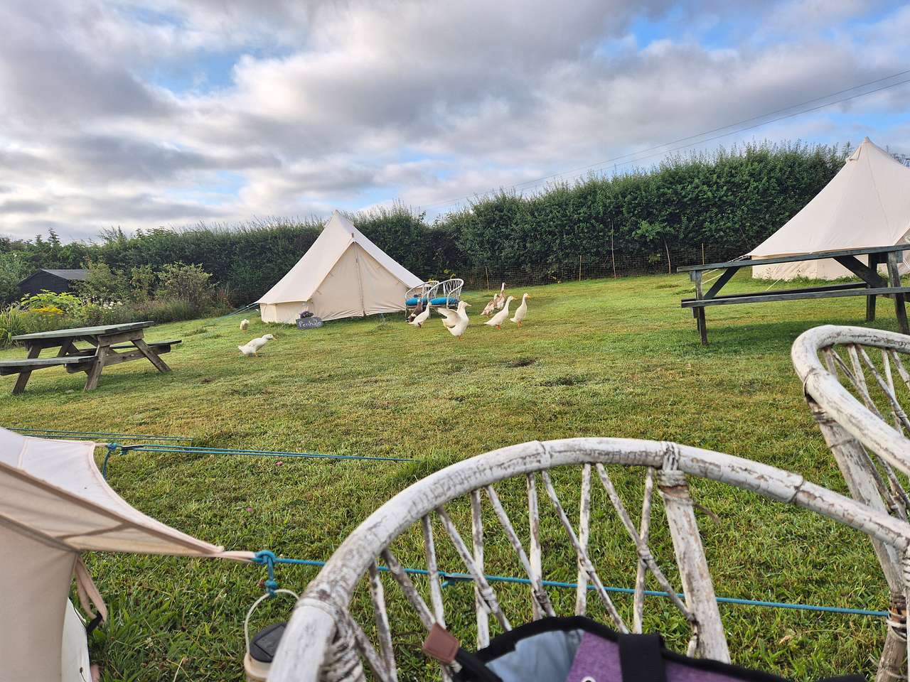 The Paddock Wildcamp Glamping