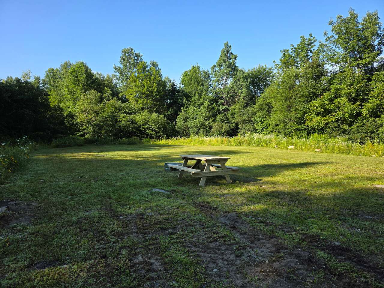 Golden Maple Farm - Camping