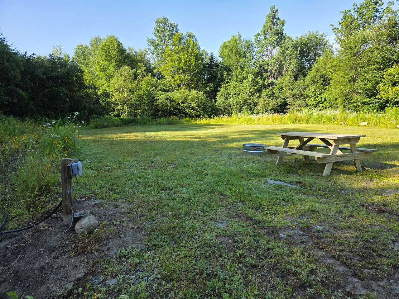 Picture of the site