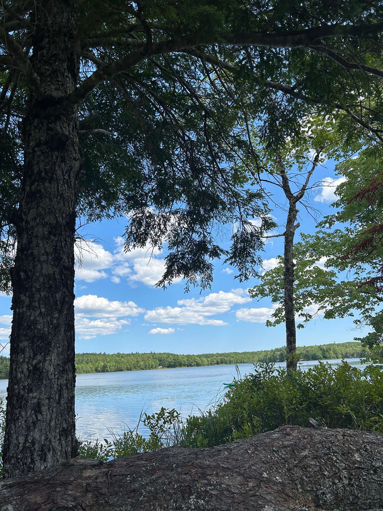 Ashland Lake Retreats At Grant Lake