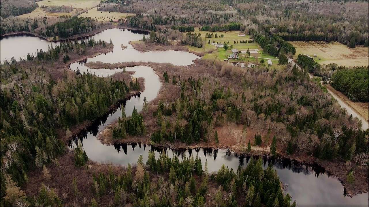 Mitziville By The Lake
