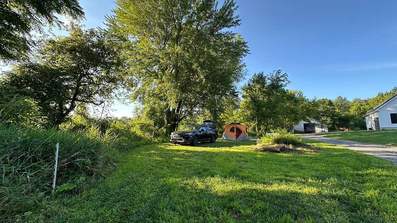 Picture of the site