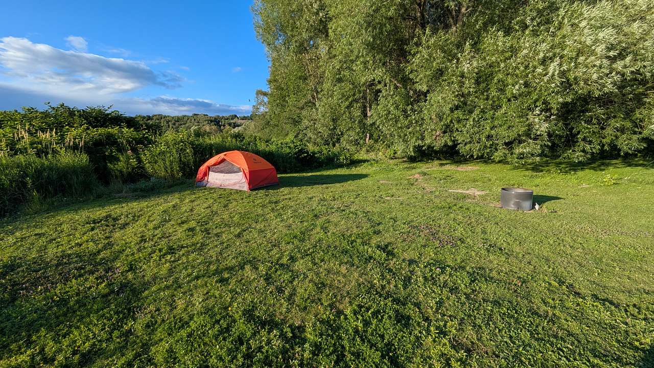 Picture of the site