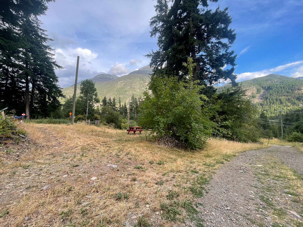 Picture of the site