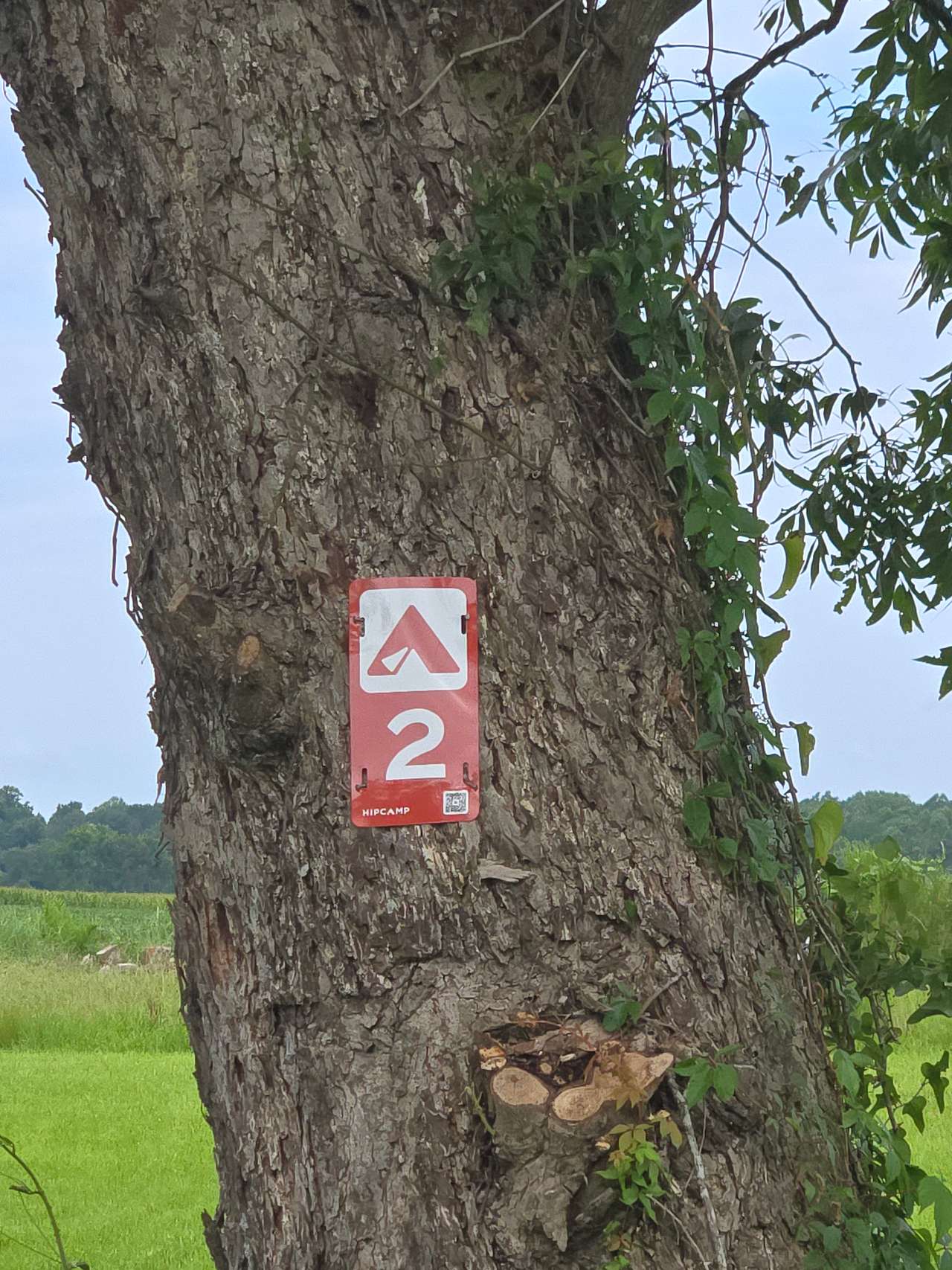 Three Pecans Farm