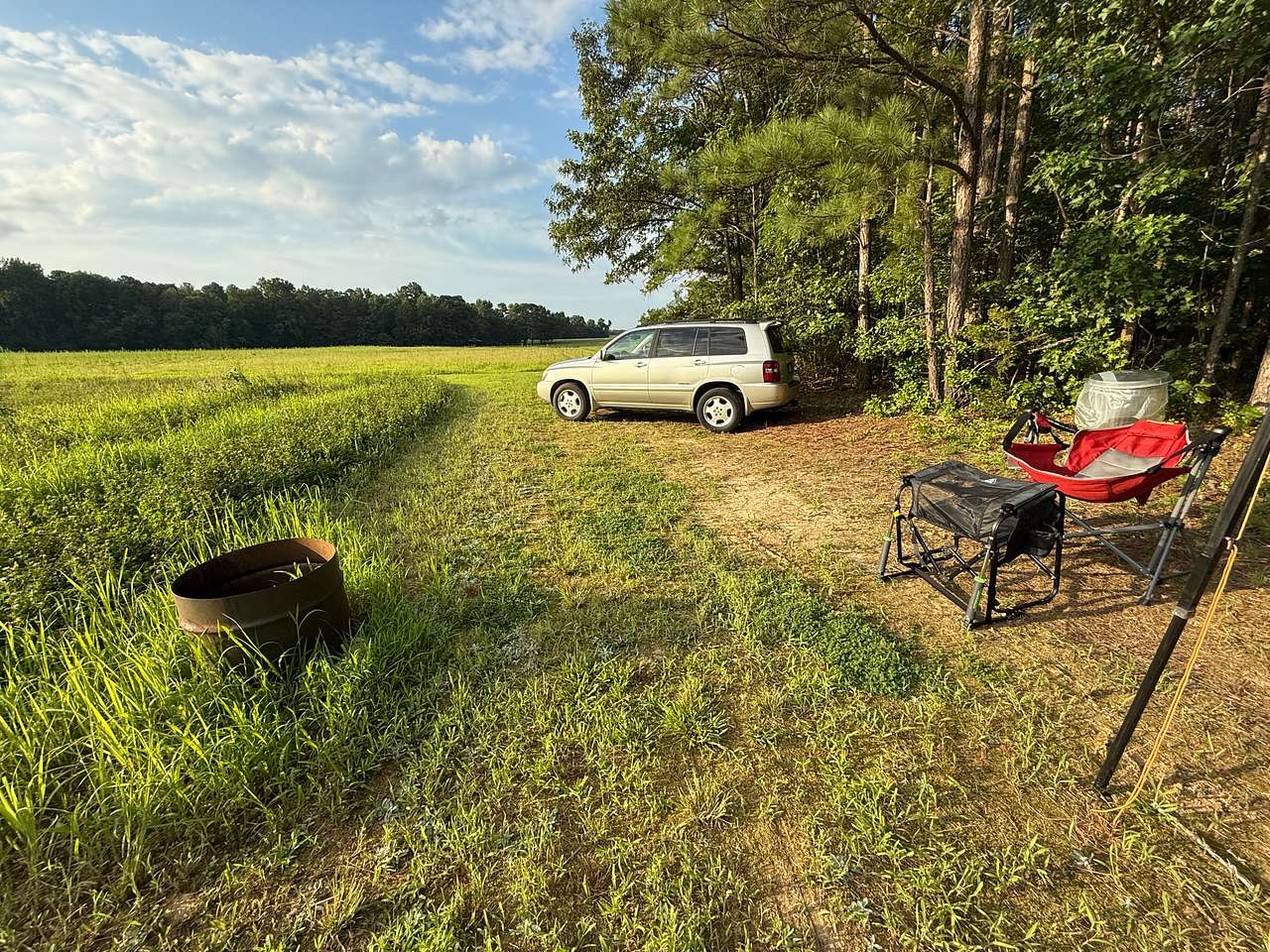 Picture of the site