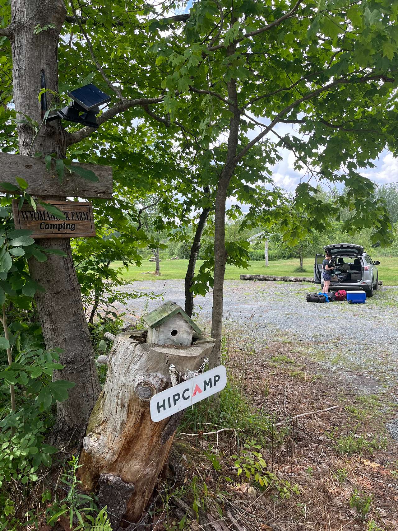 Picture of the site