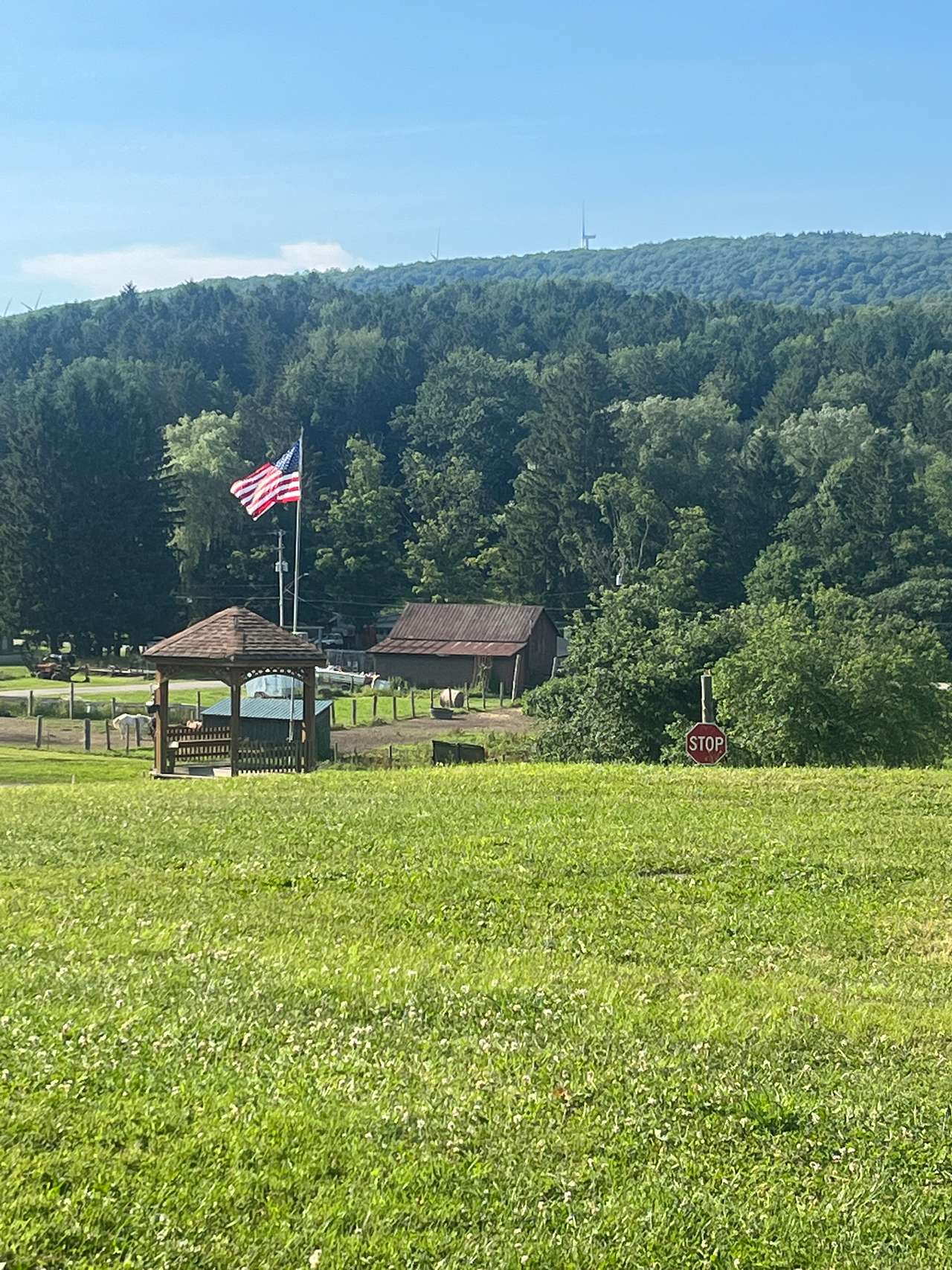 Picture of the site