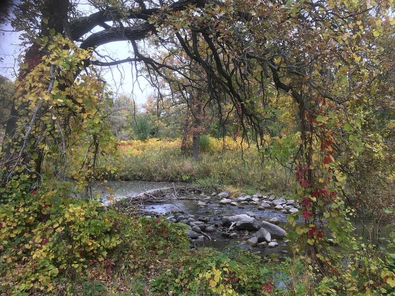 Pleasant Valley