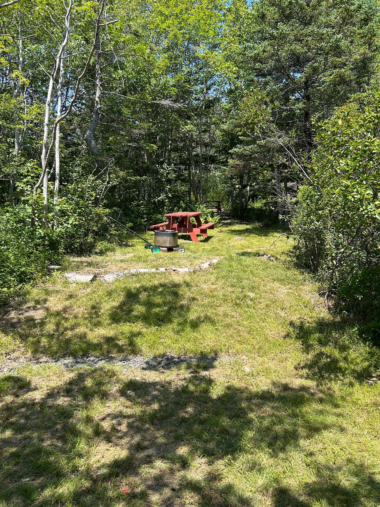 Picture of the site