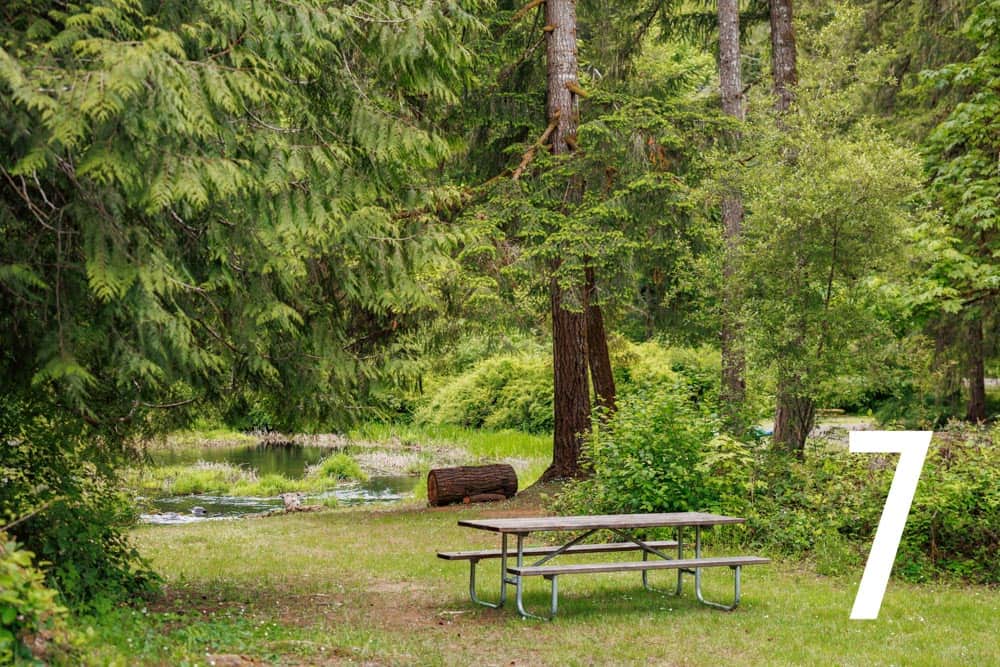 Picture of the site