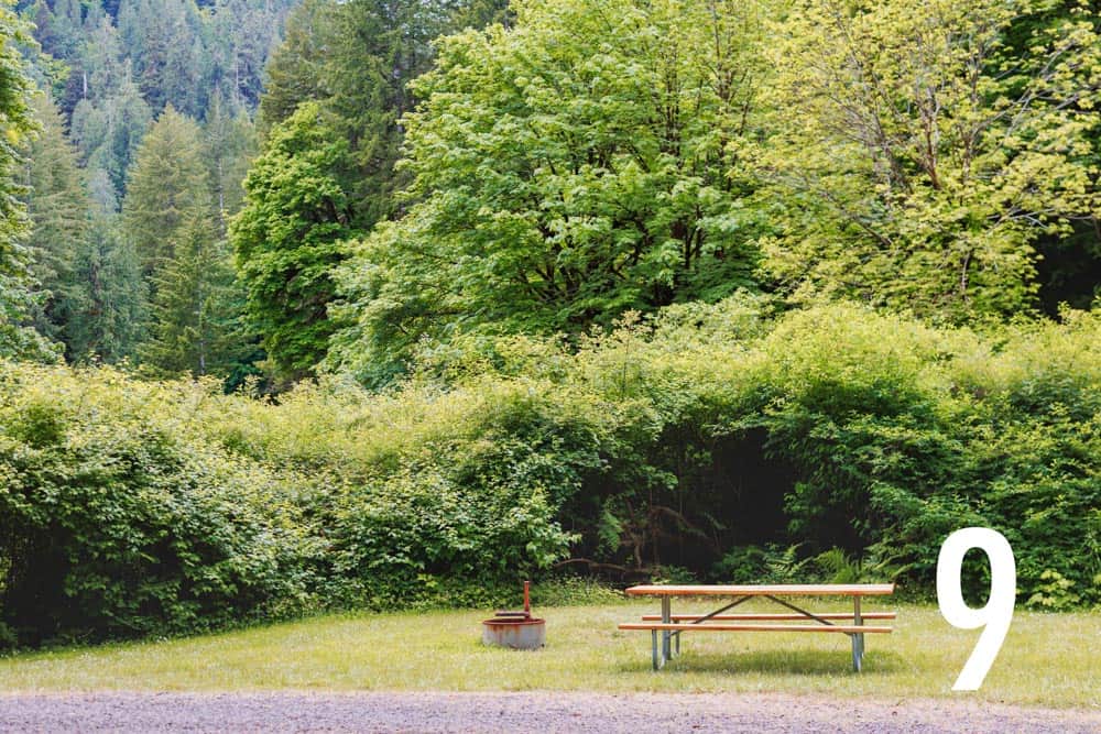 Picture of the site