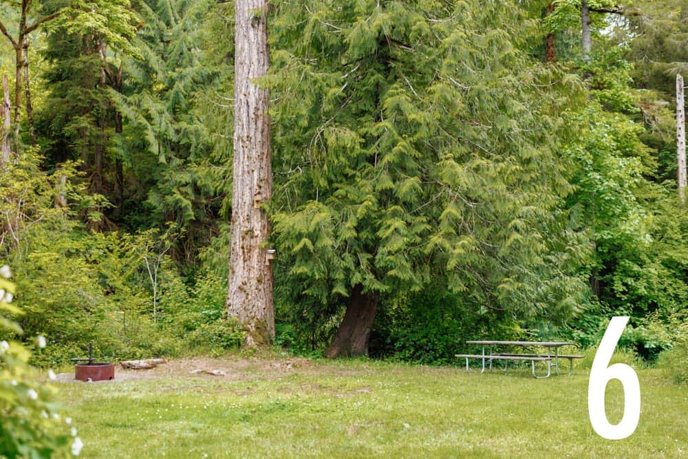 Picture of the site