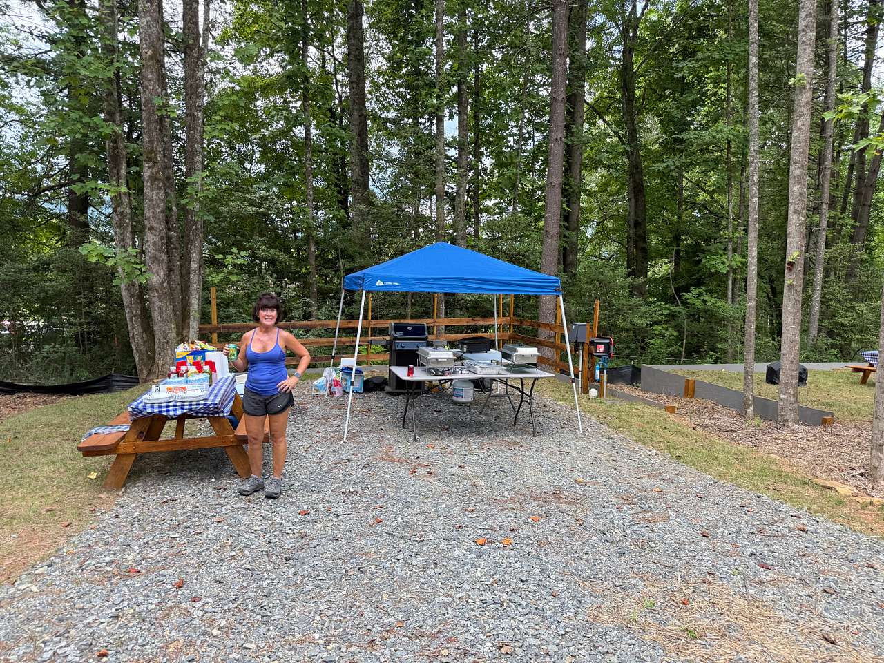 Picture of the site