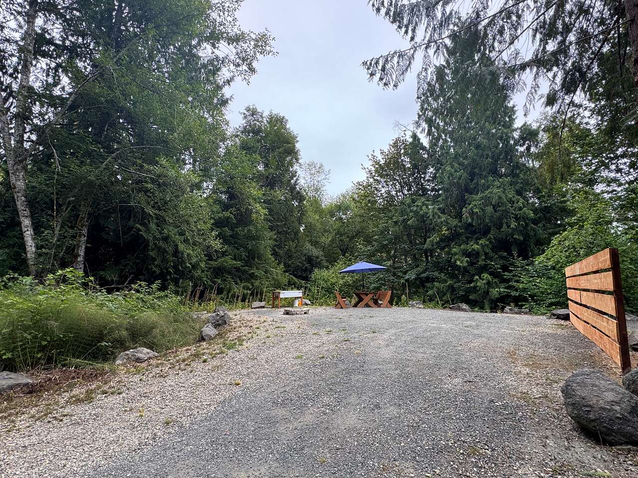 Site #1 - Cedar grove on the left, and the cedar fence delineates Site 1 and Site 2 boundaries.