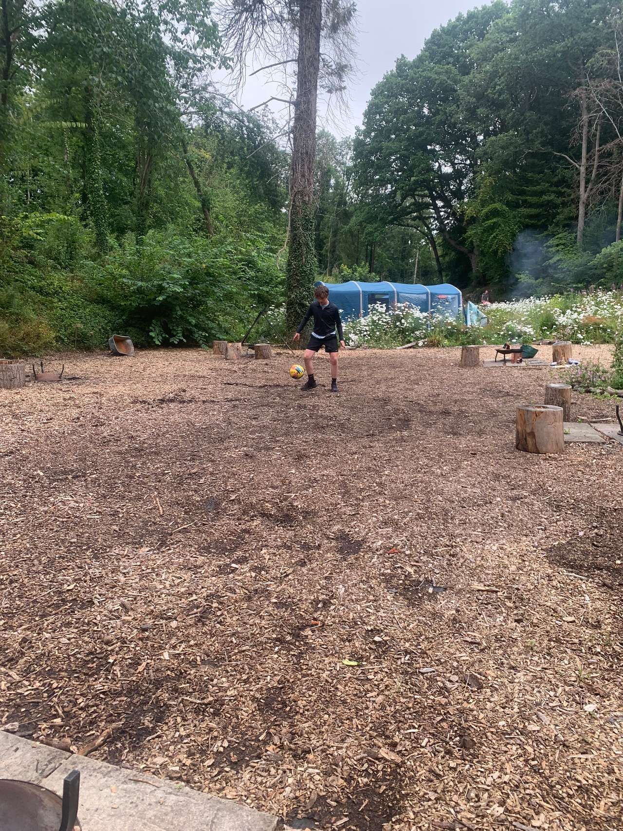 Picture of the site