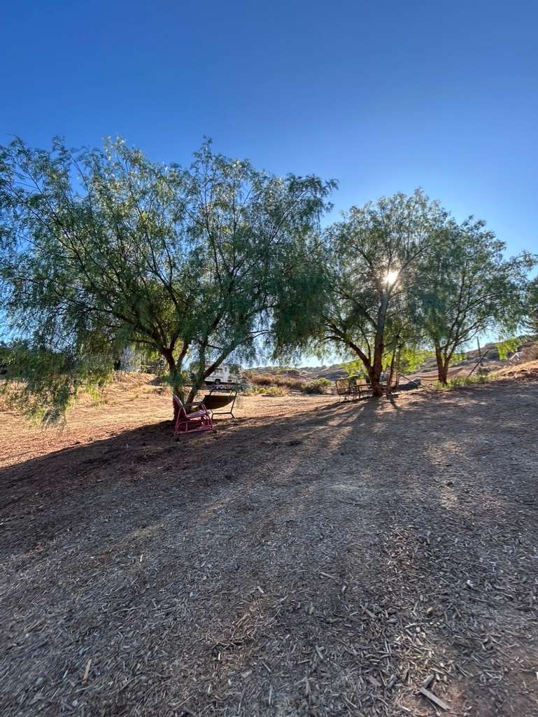 Wild Seeds Ranch