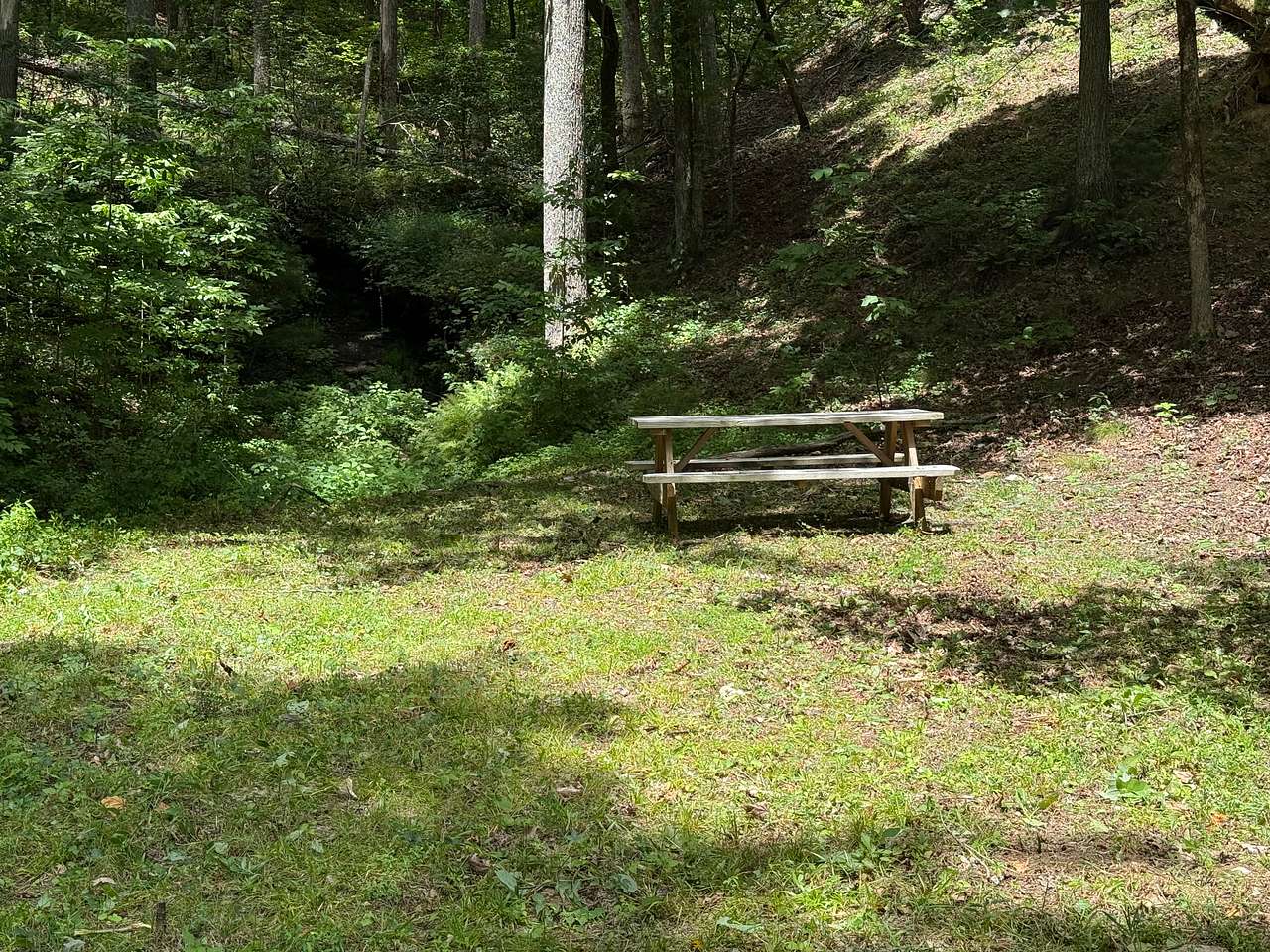 Walnut Springs Estate: Off-grid