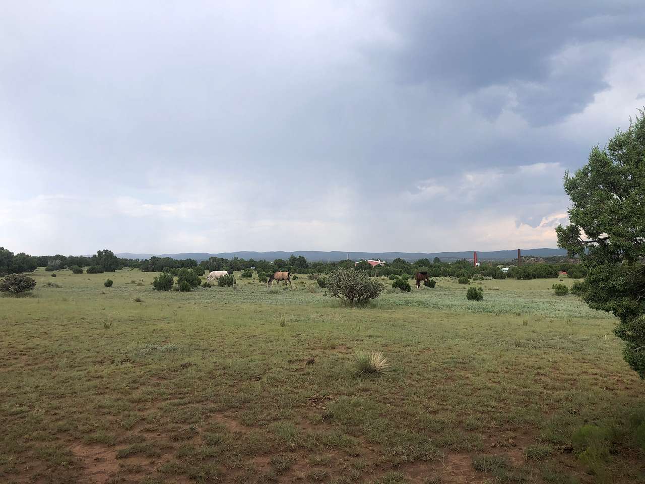 Las Sabinas Ranch