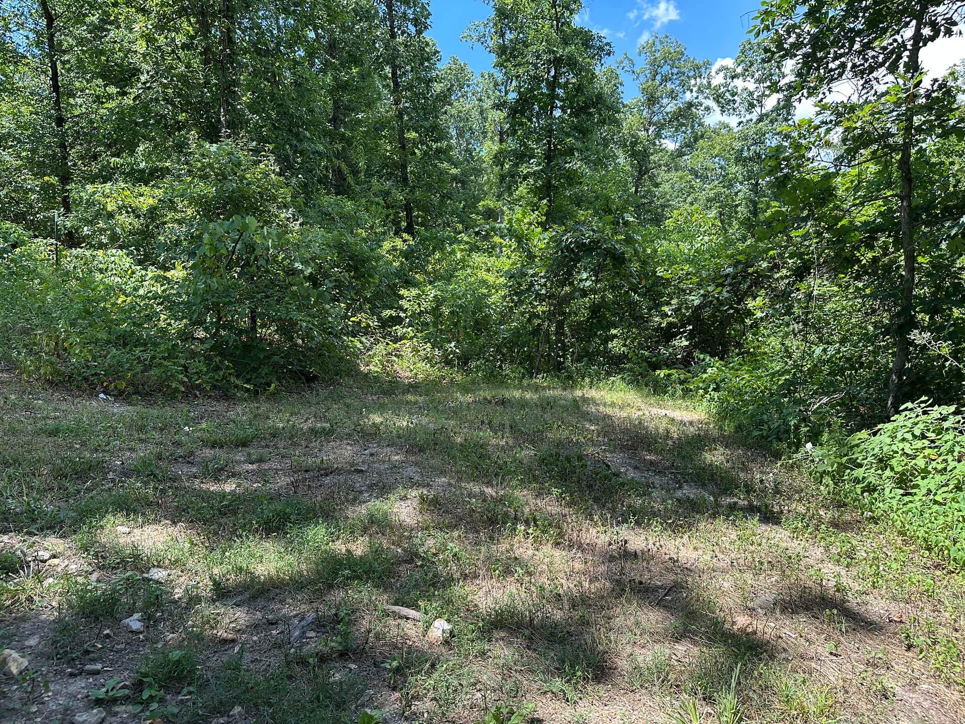 NW tent site